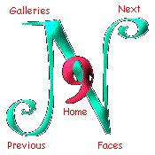 N9 logo/map